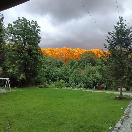 Pensiunea Vinatur Porumbacu de Sus Bagian luar foto