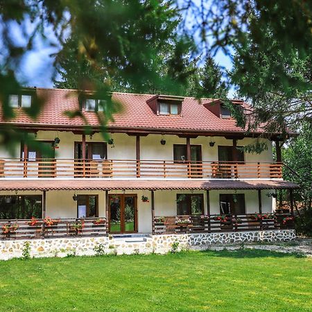 Pensiunea Vinatur Porumbacu de Sus Bagian luar foto
