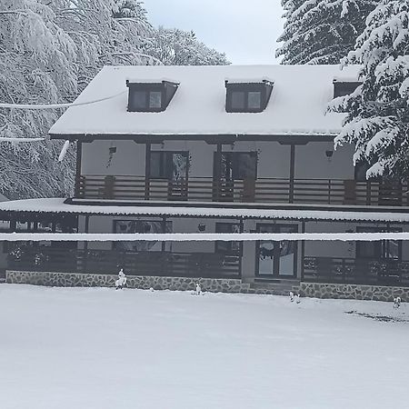 Pensiunea Vinatur Porumbacu de Sus Bagian luar foto