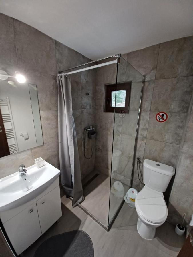 Pensiunea Vinatur Porumbacu de Sus Bagian luar foto