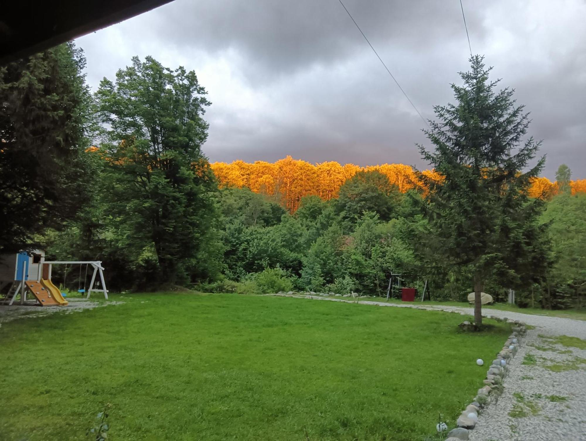 Pensiunea Vinatur Porumbacu de Sus Bagian luar foto