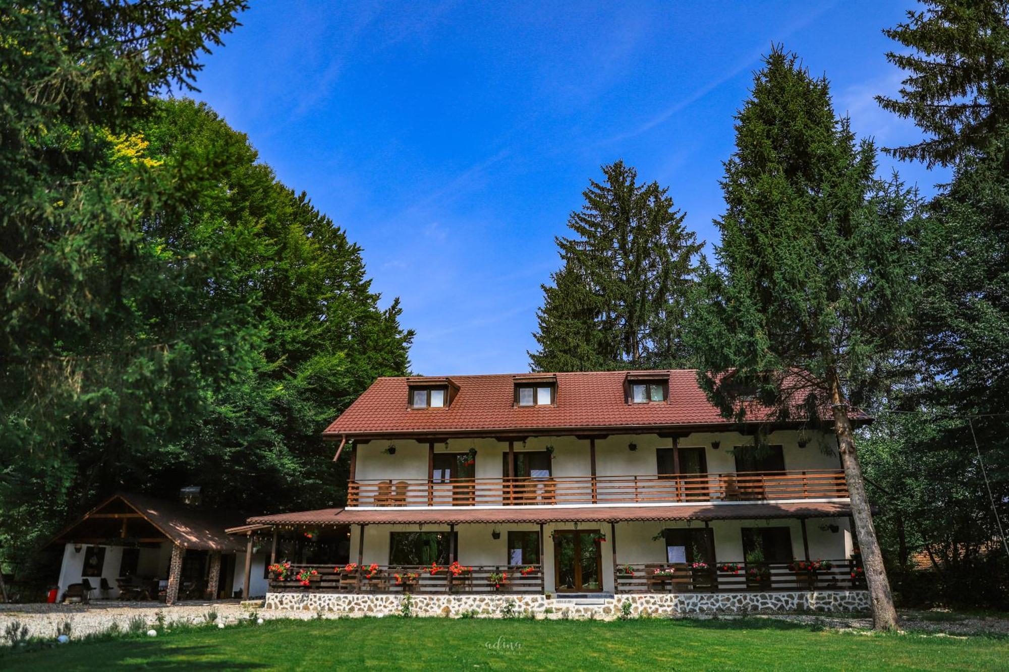 Pensiunea Vinatur Porumbacu de Sus Bagian luar foto