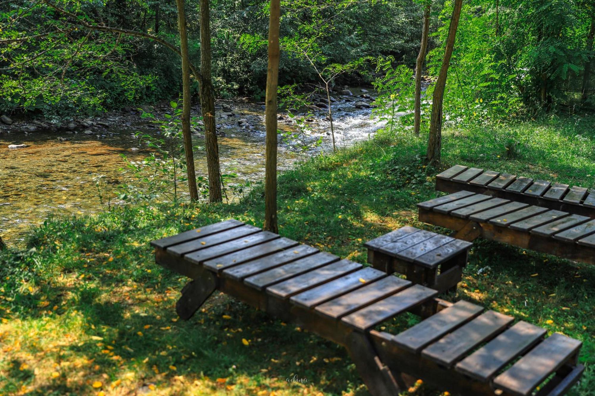 Pensiunea Vinatur Porumbacu de Sus Bagian luar foto