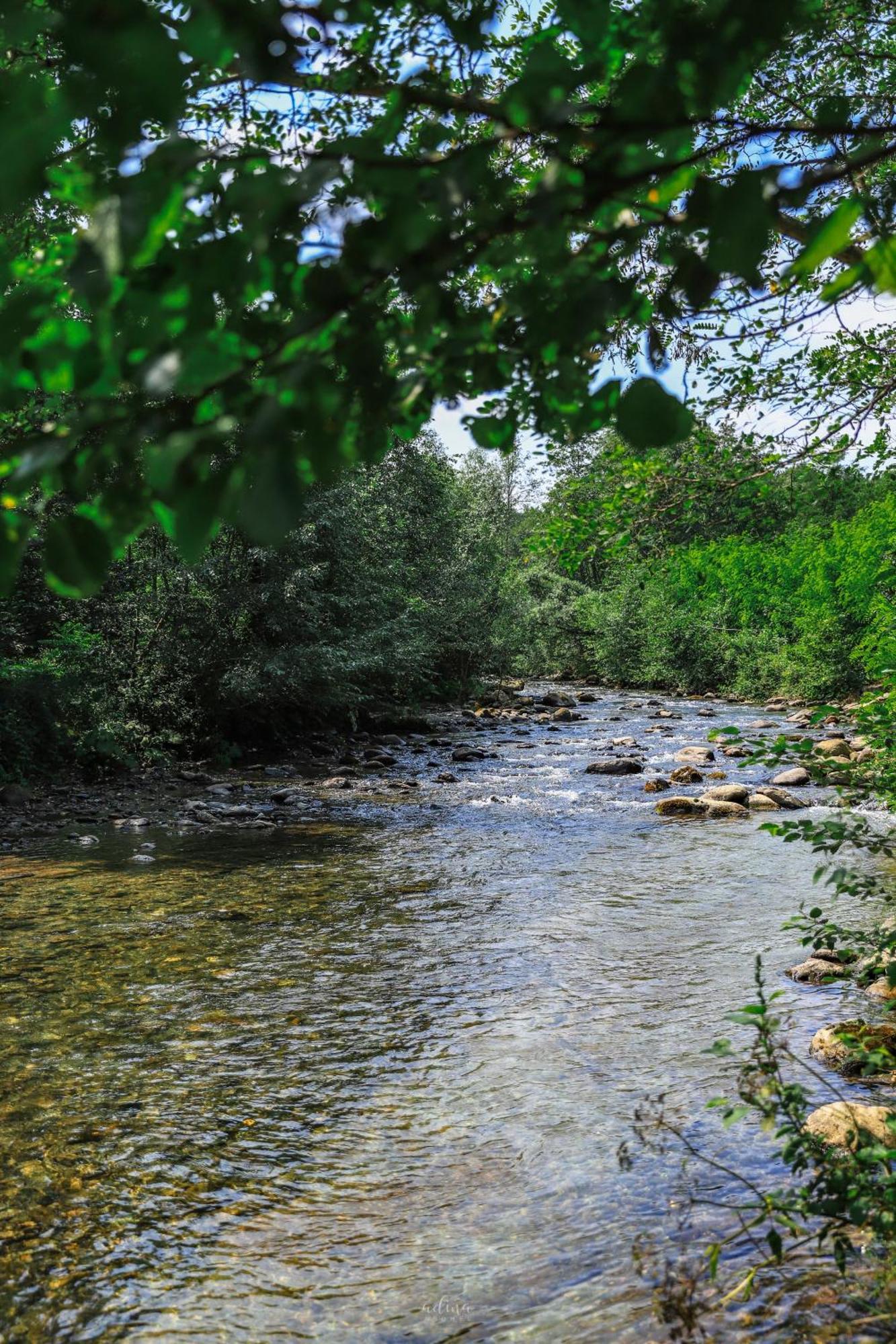 Pensiunea Vinatur Porumbacu de Sus Bagian luar foto