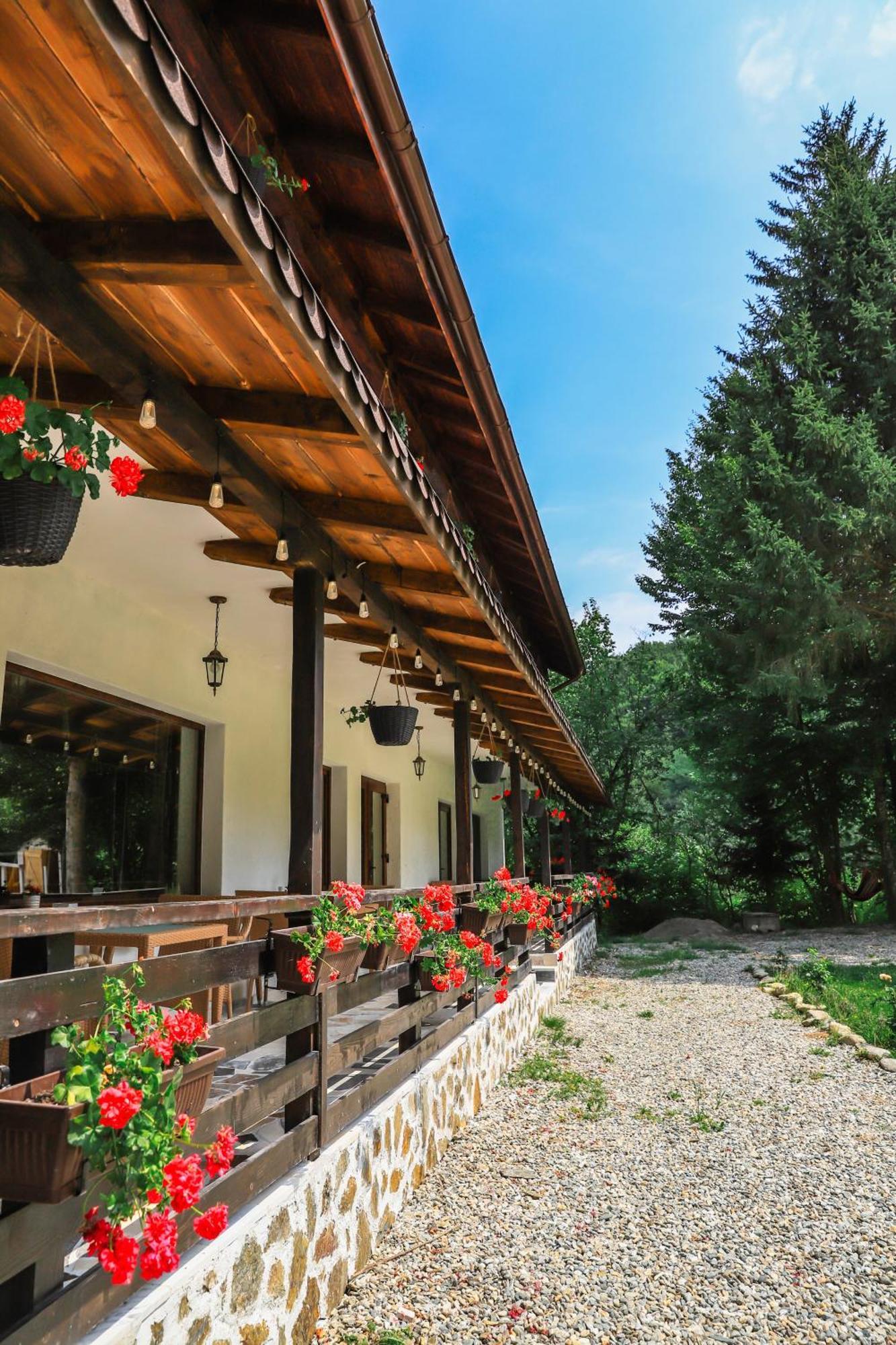Pensiunea Vinatur Porumbacu de Sus Bagian luar foto