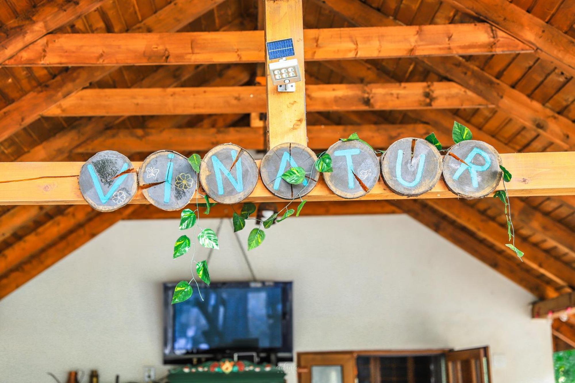 Pensiunea Vinatur Porumbacu de Sus Bagian luar foto