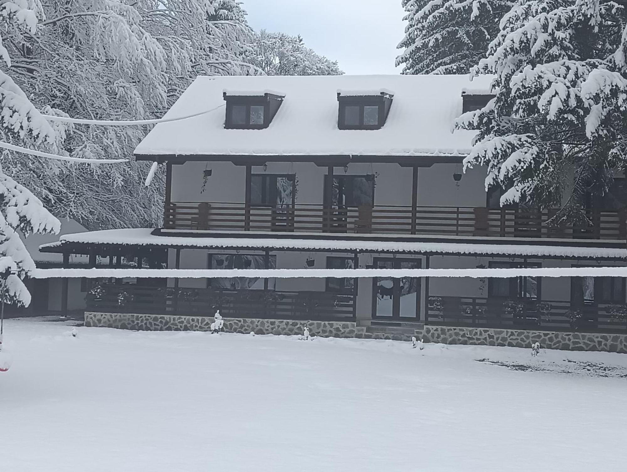 Pensiunea Vinatur Porumbacu de Sus Bagian luar foto